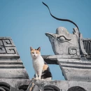 苏州旅游 缩略图 17