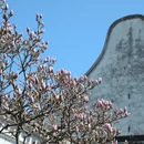 苏州旅游 缩略图 9
