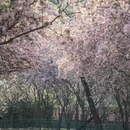 青岛旅游 缩略图 5