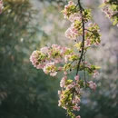 青岛旅游 缩略图 7