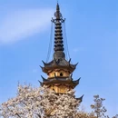 苏州旅游 缩略图 9