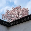 苏州旅游 缩略图 13
