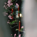 苏州旅游 缩略图 8