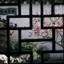 苏州旅游 缩略图 10