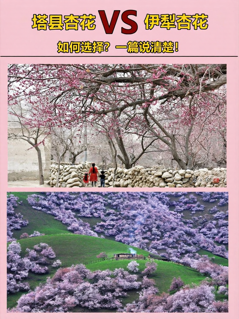伊犁旅游