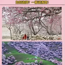伊犁旅游 缩略图 1
