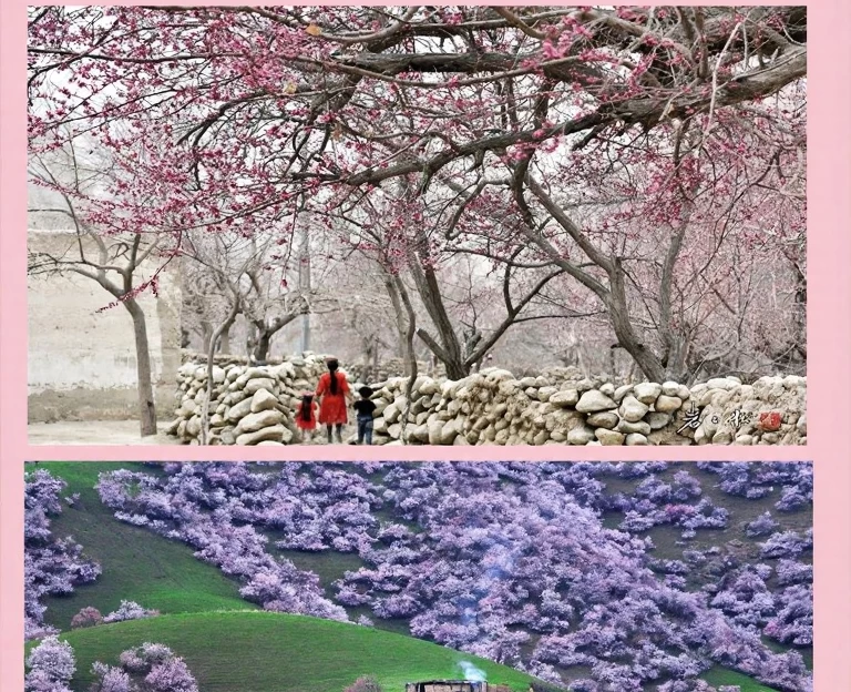 伊犁旅游 1