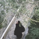 扬州旅游 缩略图 2