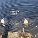 天津旅游 缩略图 8
