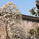 扬州旅游 缩略图 5