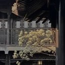 扬州旅游 缩略图 9