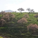 伊犁旅游 缩略图 6