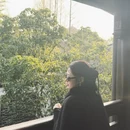 扬州旅游 缩略图 10