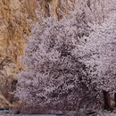 吐鲁番旅游 缩略图 4