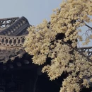 扬州旅游 缩略图 11