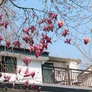 杭州旅游 缩略图 5