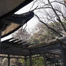 杭州旅游 缩略图 8