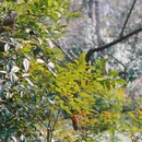 杭州旅游 缩略图 9