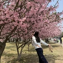 苏州旅游 缩略图 2