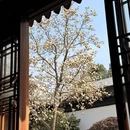 苏州旅游 缩略图 3