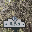 天津旅游 缩略图 4