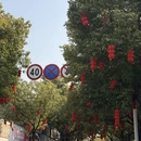 扬州旅游 缩略图 13