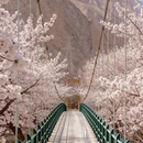 吐鲁番旅游 缩略图 6