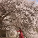 喀什地区旅游 缩略图 3