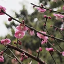 福州旅游 缩略图 8