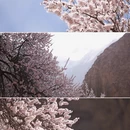 喀什地区旅游 缩略图 7