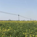 伊犁旅游 缩略图 6