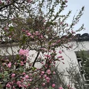 苏州旅游 缩略图 5
