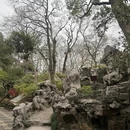苏州旅游 缩略图 6