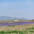 伊犁旅游 缩略图 9
