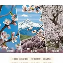 吐鲁番旅游 缩略图 7