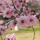 杭州旅游 缩略图 8