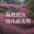 福州旅游 缩略图 1