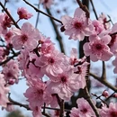 杭州旅游 缩略图 10