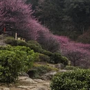 福州旅游 缩略图 5