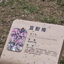 福州旅游 缩略图 6