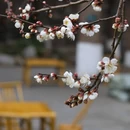 杭州旅游 缩略图 1