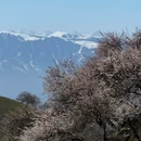 伊犁旅游 缩略图 2