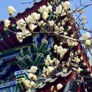 沈阳旅游 缩略图 2