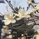 沈阳旅游 缩略图 3