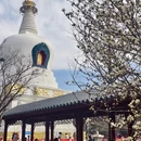 沈阳旅游 缩略图 5