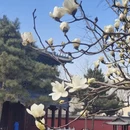 沈阳旅游 缩略图 4