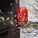 杭州旅游 缩略图 2