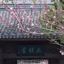 杭州旅游 缩略图 3