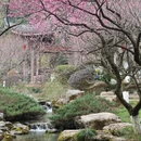 杭州旅游 缩略图 5