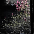 苏州旅游 缩略图 1